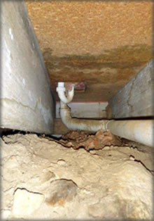 Property inspection showed insufficient ground clearance under floor joists and evidence of damp under shower floor